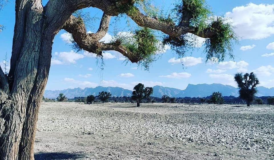 Jalén Némróchay Mosáper