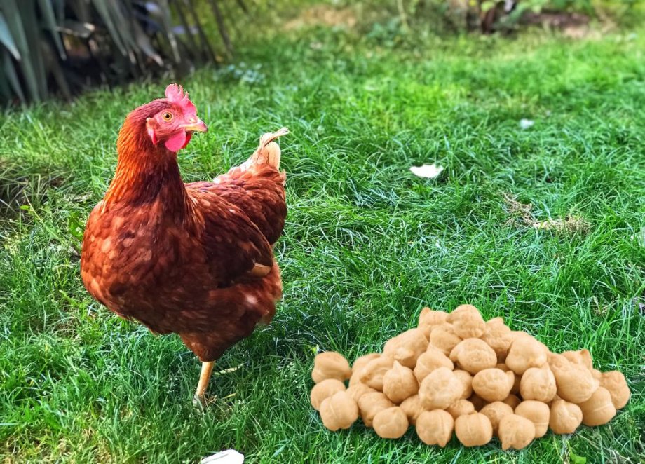 Ammán Ammán Kaldáré Day