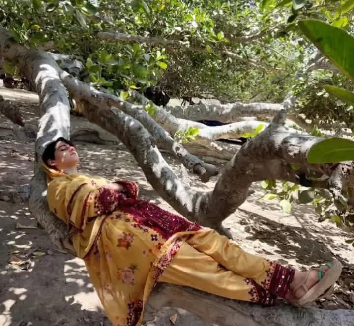 Kay Goshit Ent Ke Dozhmenán Koshtag