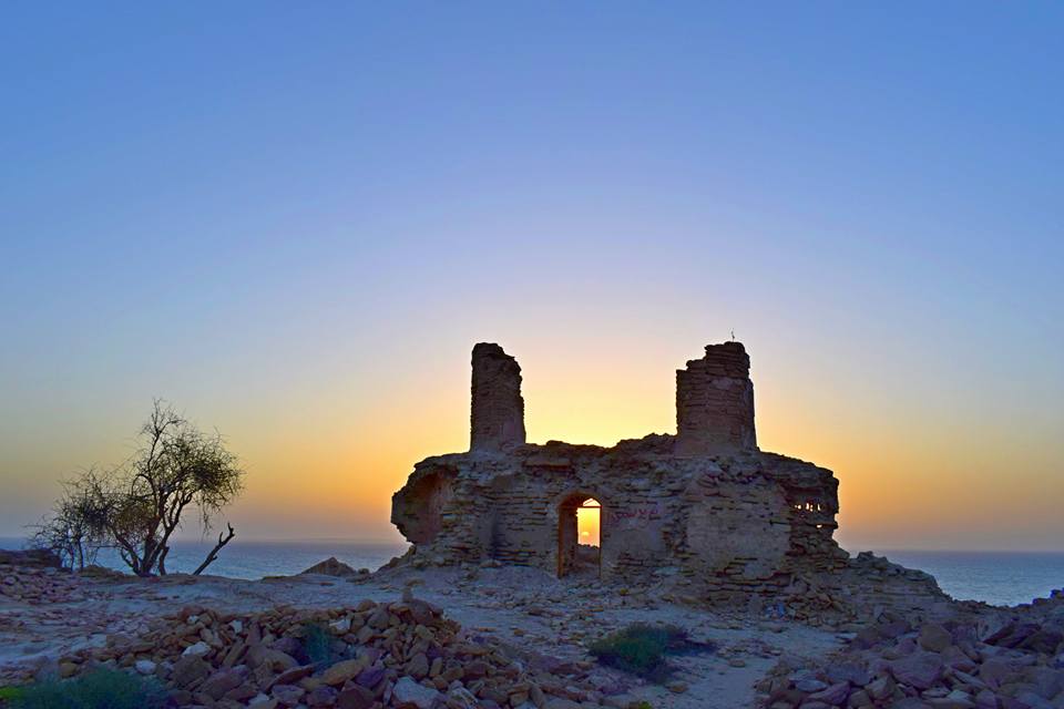 Chó Hodánedárgén Did