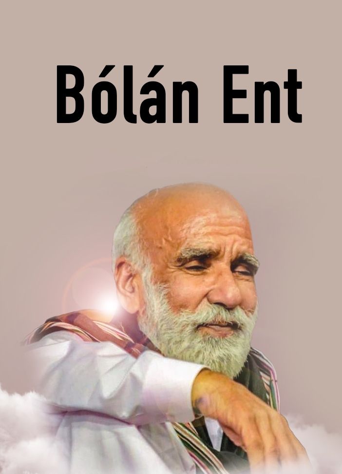 Bólán Ent