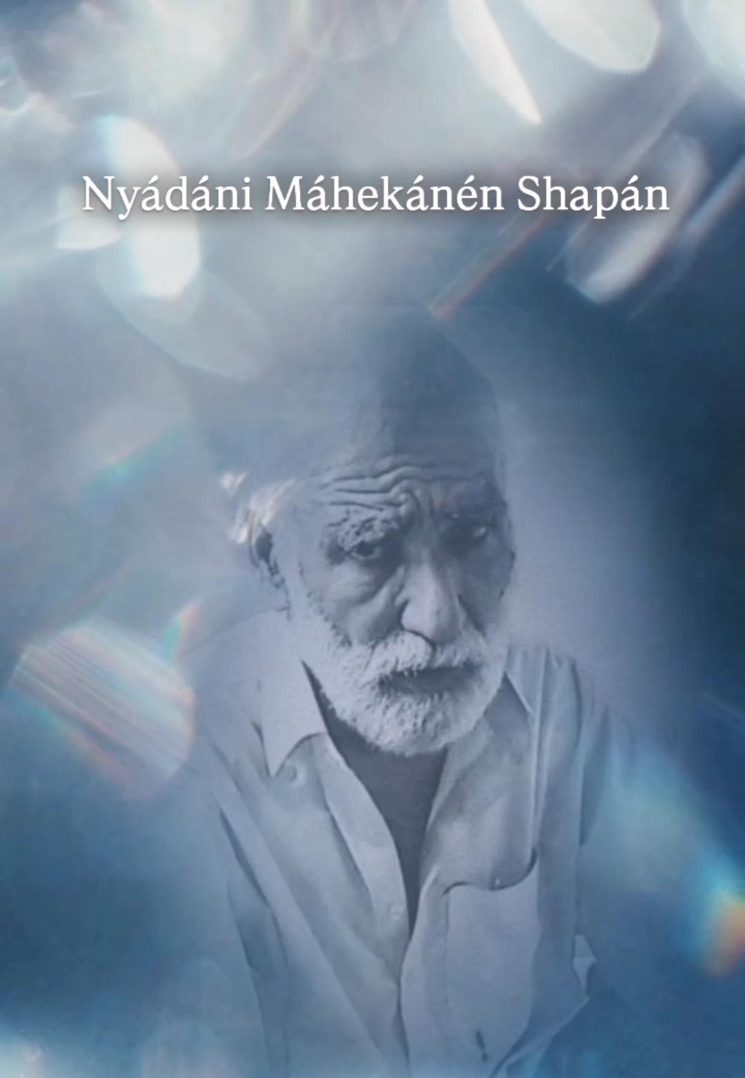 Nyádáni Máhekánén Shapán